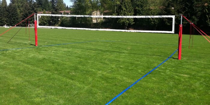 Natural Grass Volleyball Court