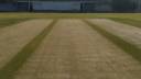 Cricket Pitch- Natural Turf