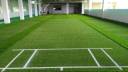 Cricket Pitch- Artificial Turf