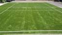 Volleyball Courts-Artificial Grass